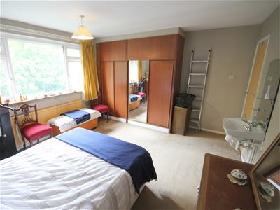 Picture 13